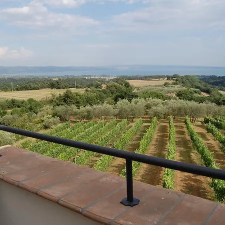 Degli Olivi